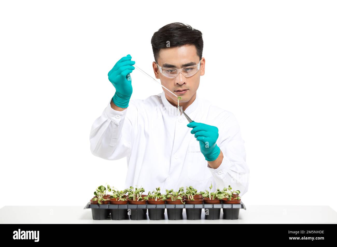 Scientific study of plants hires stock photography and images Alamy