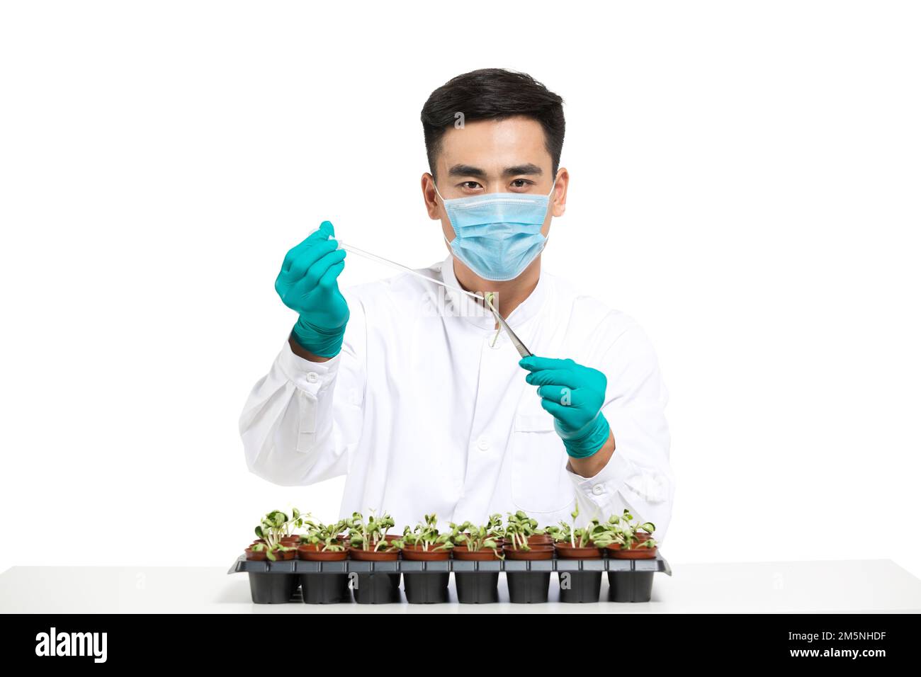 Male young scientists study plants Stock Photo Alamy