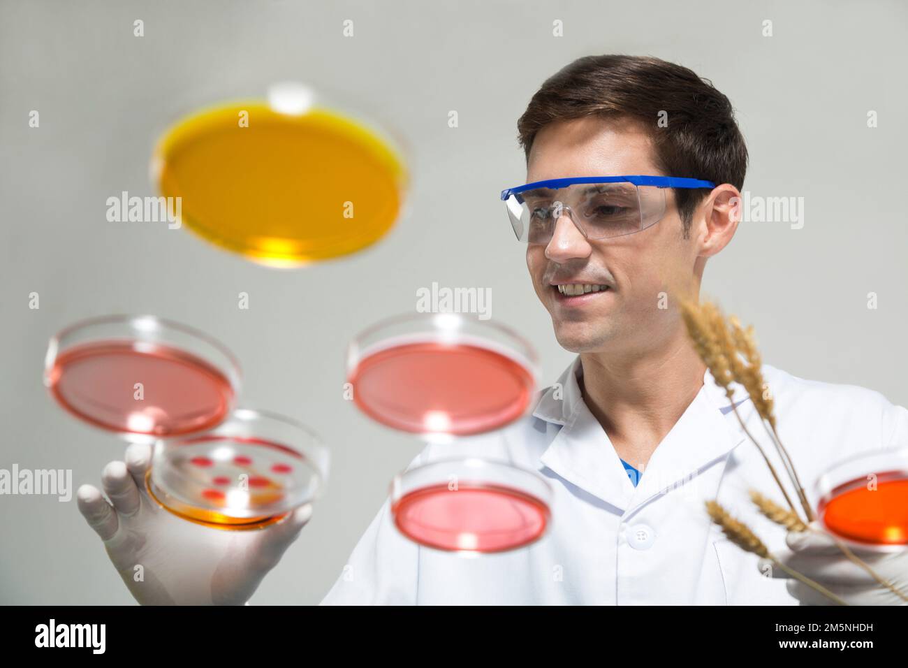 Foreign men with petri dishes in the laboratory experiment Stock Photo