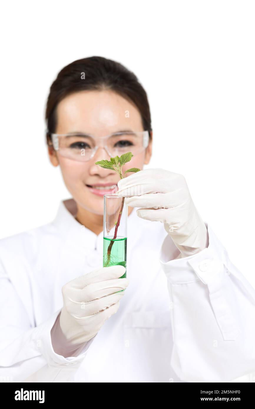 Women scientists study looked at in a test tube plant Stock Photo