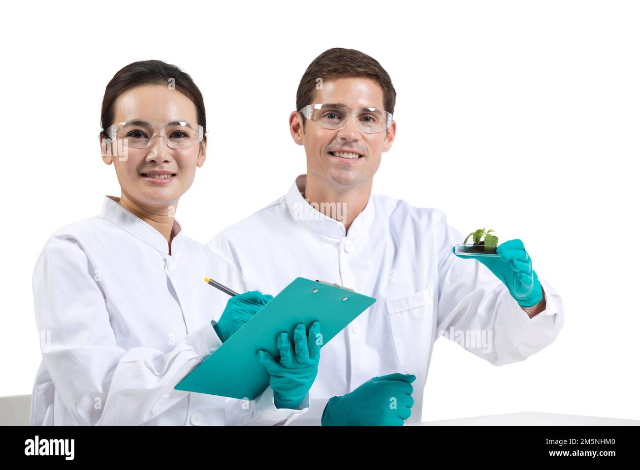 Scientists study of plant are discussed Stock Photo