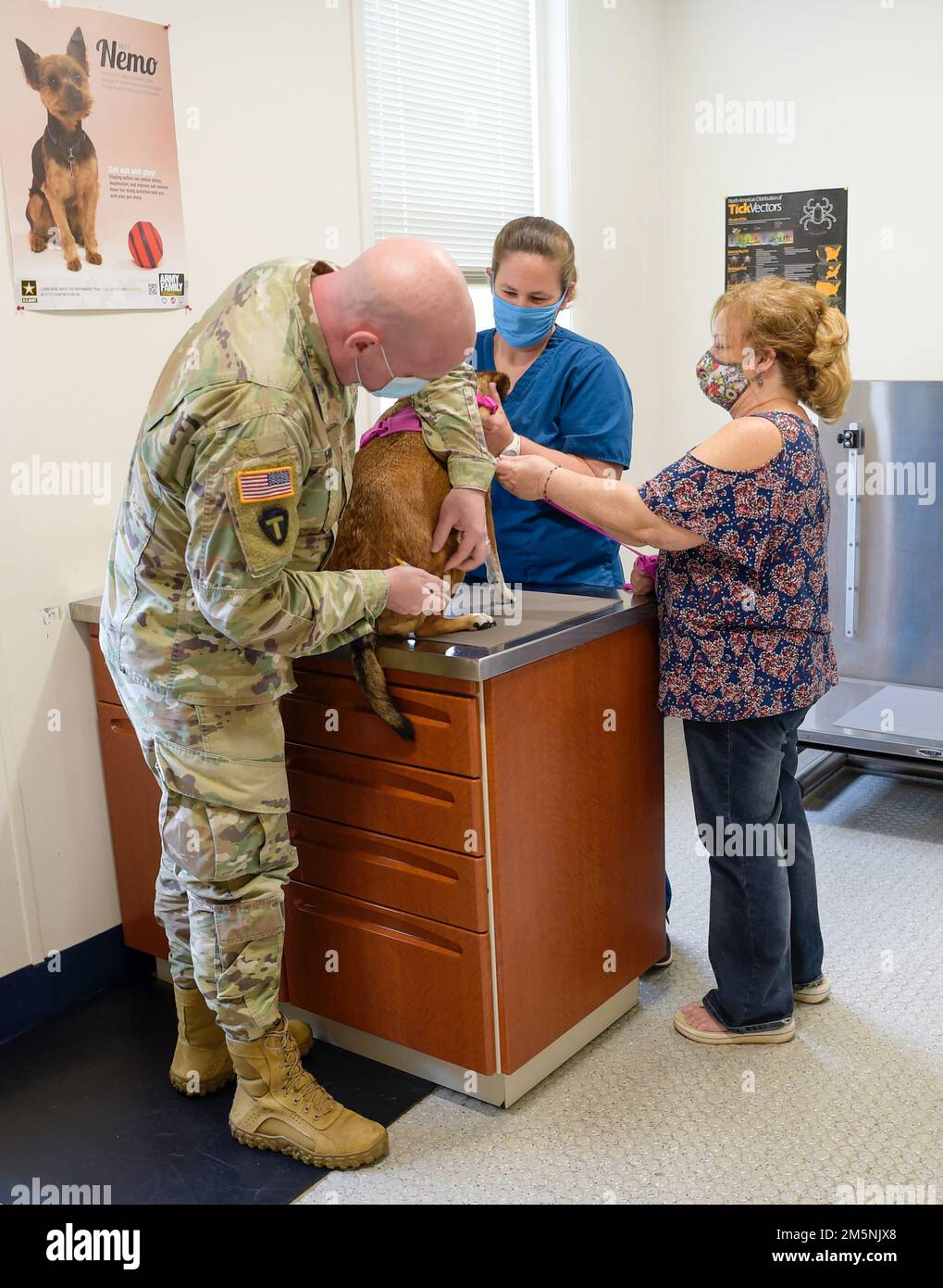 Army Maj. Kevin Hinton, branch chief of NAS Pensacola Veterinary Services, assisted by Cher Clary, veterinary technician, administered a rabies vaccination during a check-up for retired Navy veteran Susan Ulloa’s dog Lola at the veterinary clinic on Corry Station, Feb. 25, 2022. Stock Photo