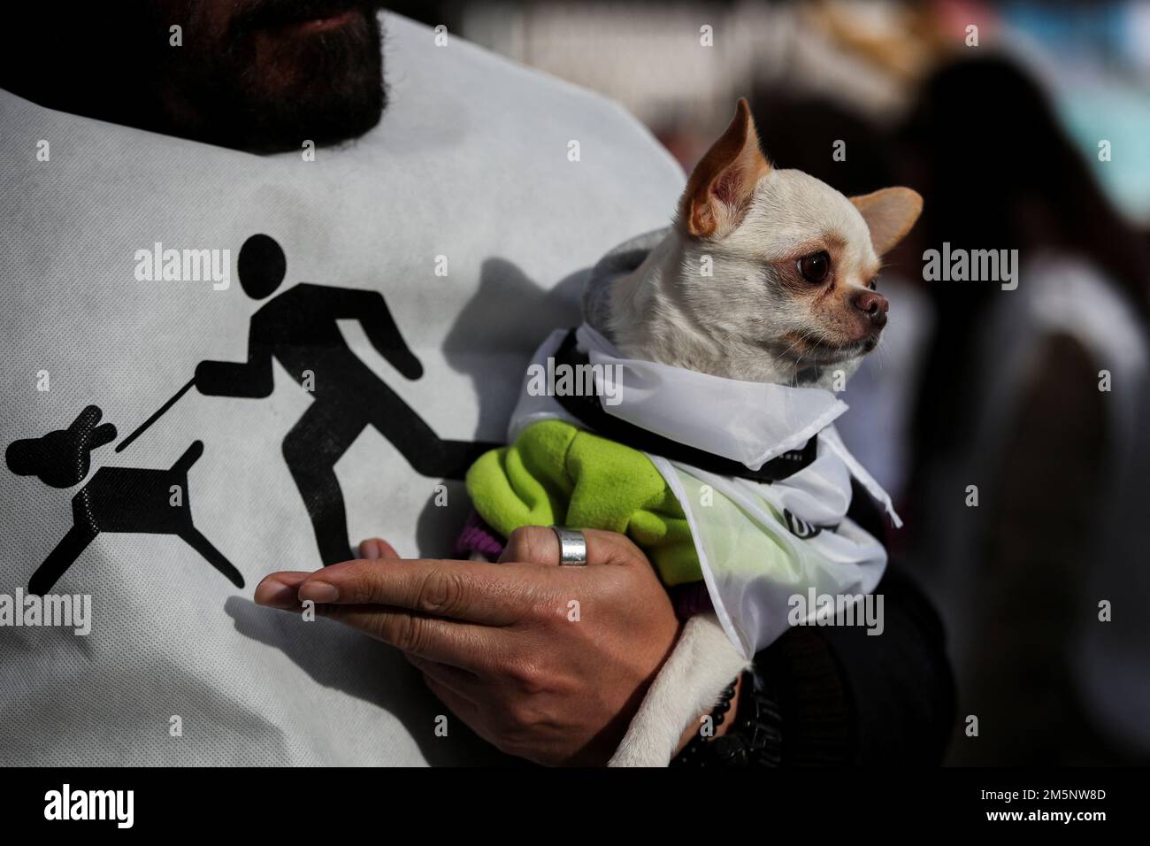A person holds her dog during the A person holds her dog during the