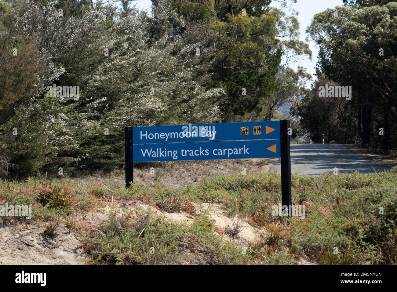Honeymoon Bay at National Park, Tasmania Stock Photo Alamy