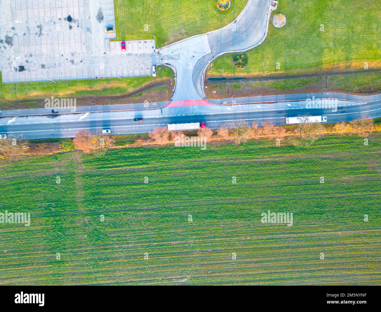 Gallery image with a fresh perspective