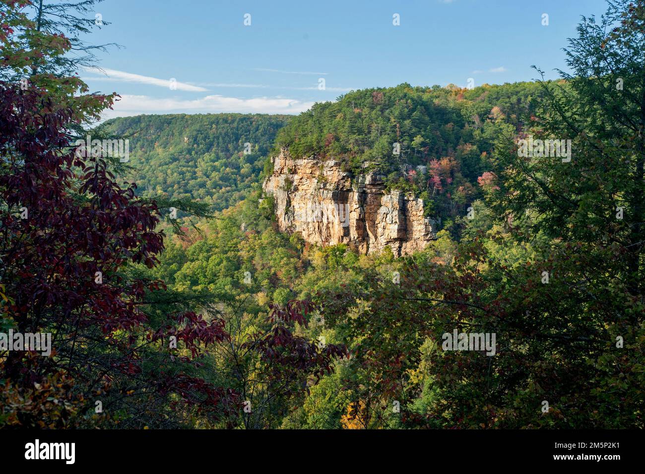 An unnamed bluff of 300+ millionyearold Monteagle limestone in Fall