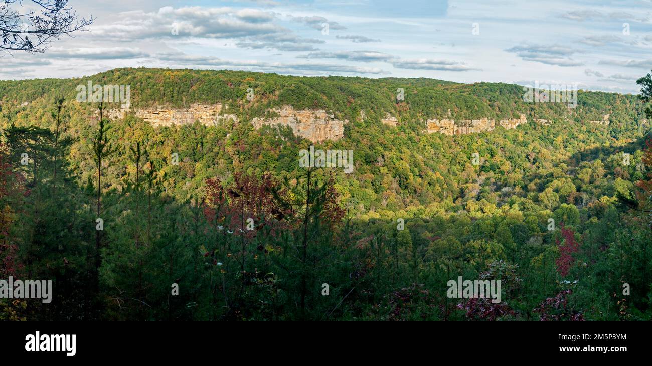 An outcrop of 300+ millionyearold Monteagle limestone is exposed in