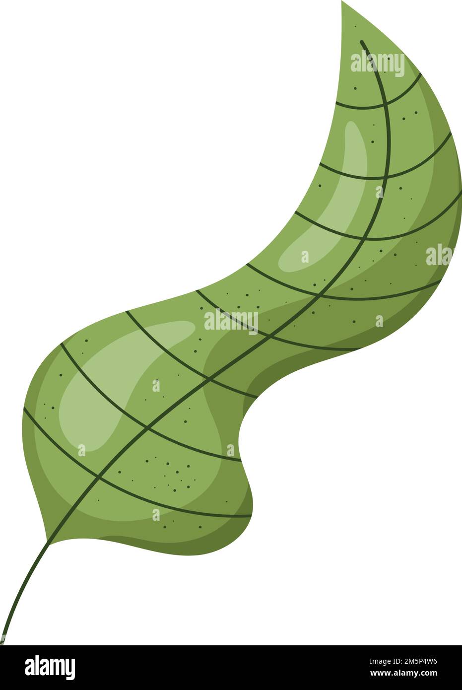 leaf plant foliage Stock Vector Image & Art - Alamy