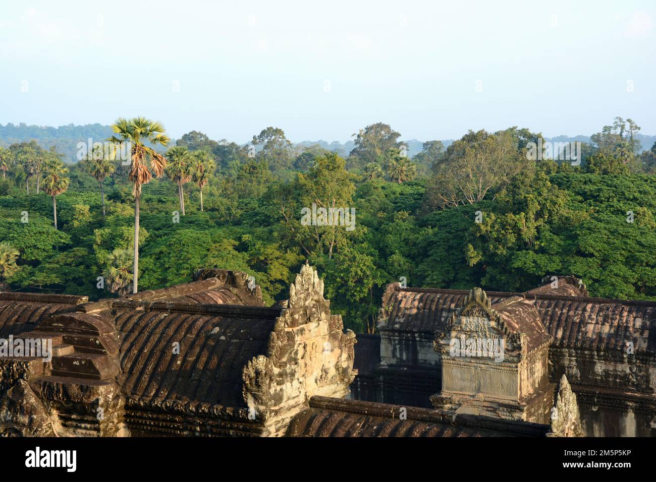 Angkor Wat roofs from the top of the temple with the cambodian rainforest in the background, Cambodia Stock Photo