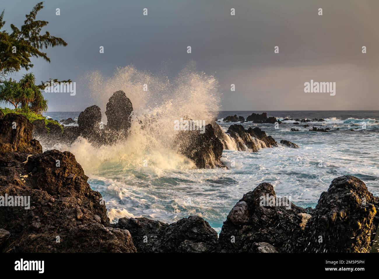 LAUPAHOEHOE HAWAII HAWAII USA Stock Photo