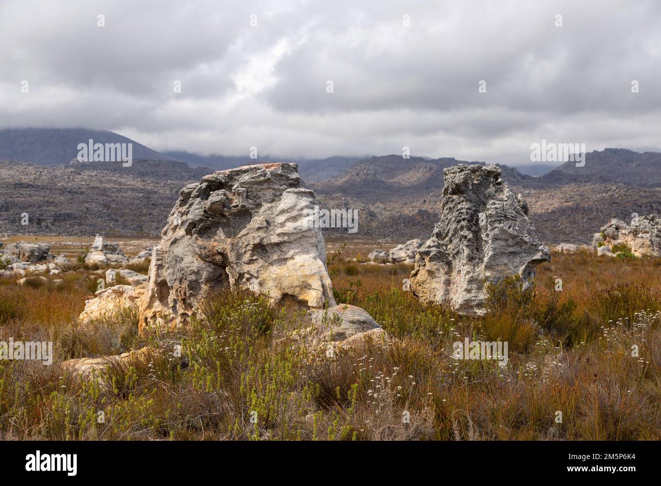 South African Rocks Some Rocks in the Mountains of the Western Cape near Porterville, South ...