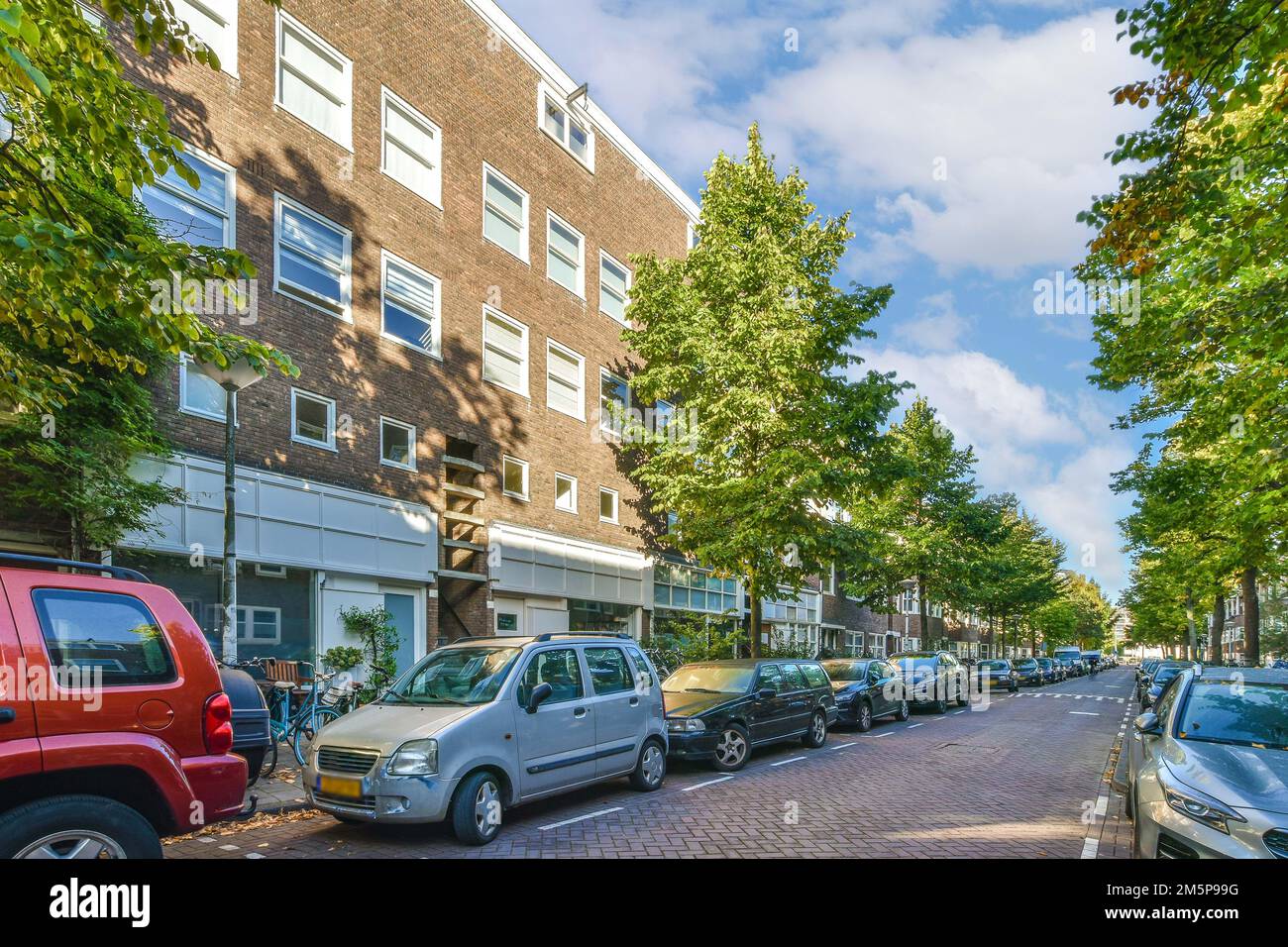 a street with cars parked on the side and trees lining the sidewalk in ...