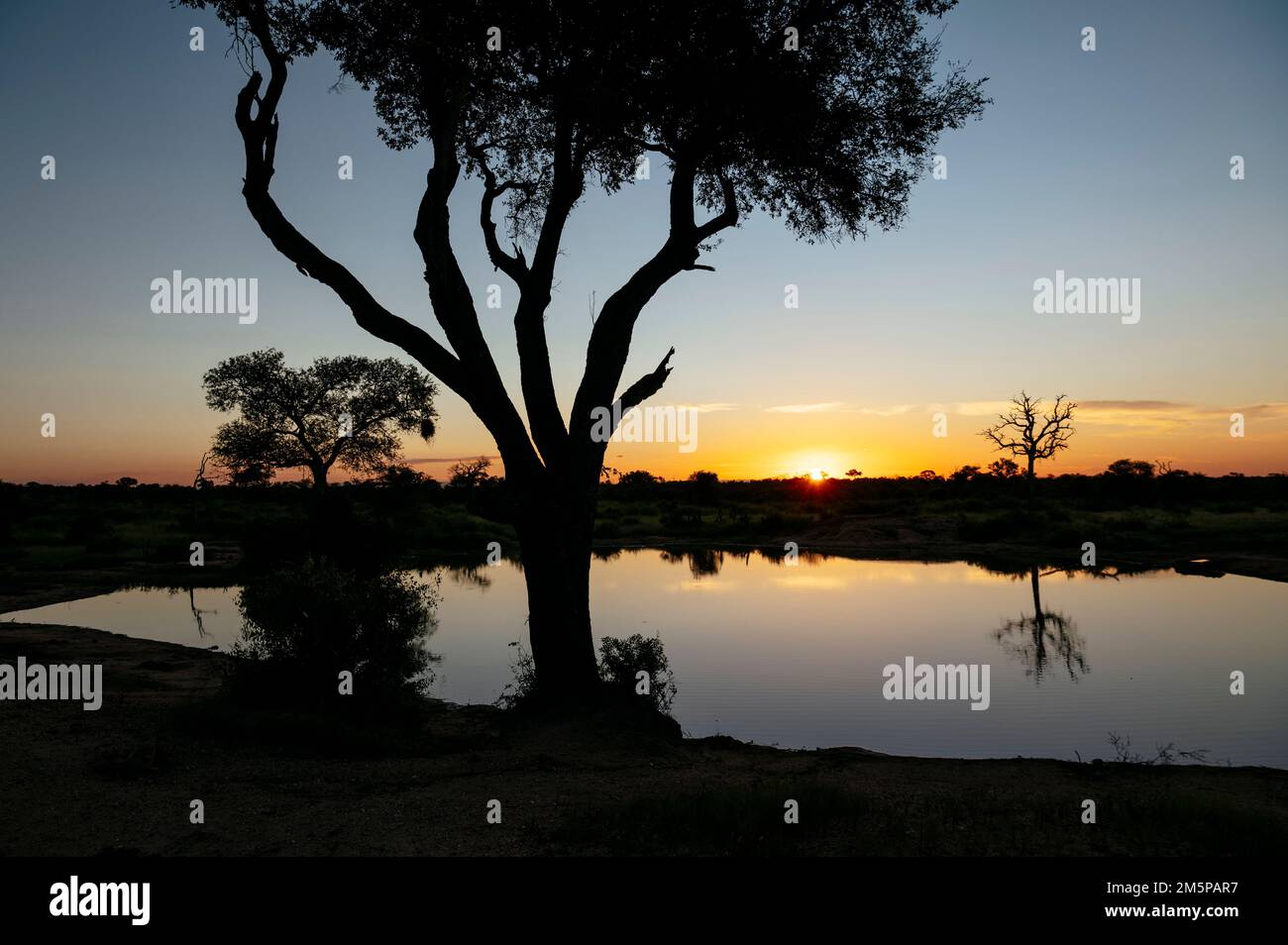 Sunset over Lake, Timbavati Private Nature Reserve, Kruger National Park, South Africa Stock Photo