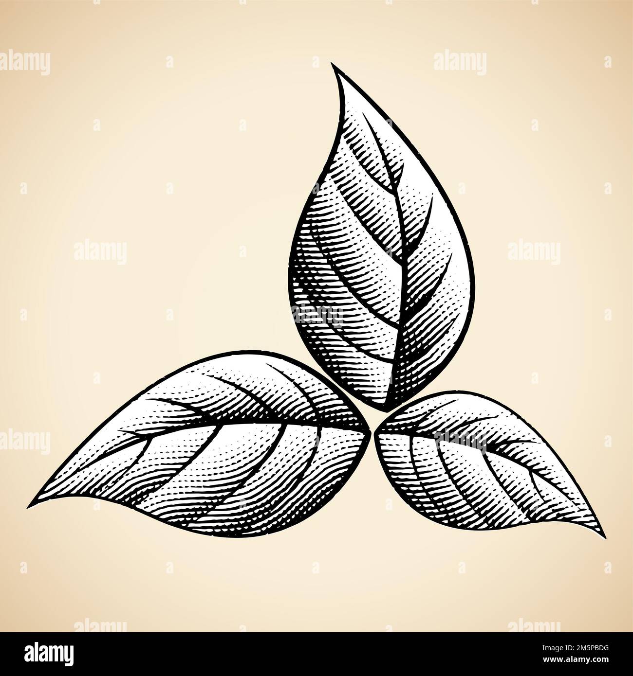 g wholesale general sales & tobacco Buy On! Plus Tobacco 9mg From $3.49 Online