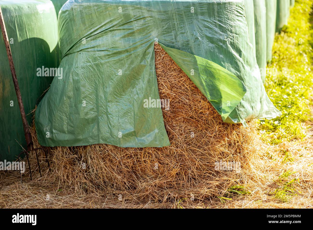 Hay bales, food for horses and other farm animals, storage for the