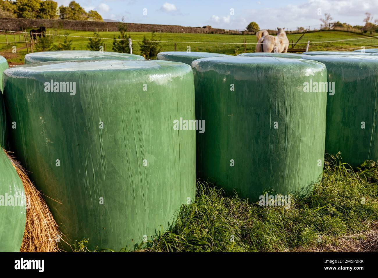 Hay bales, food for horses and other farm animals, storage for the