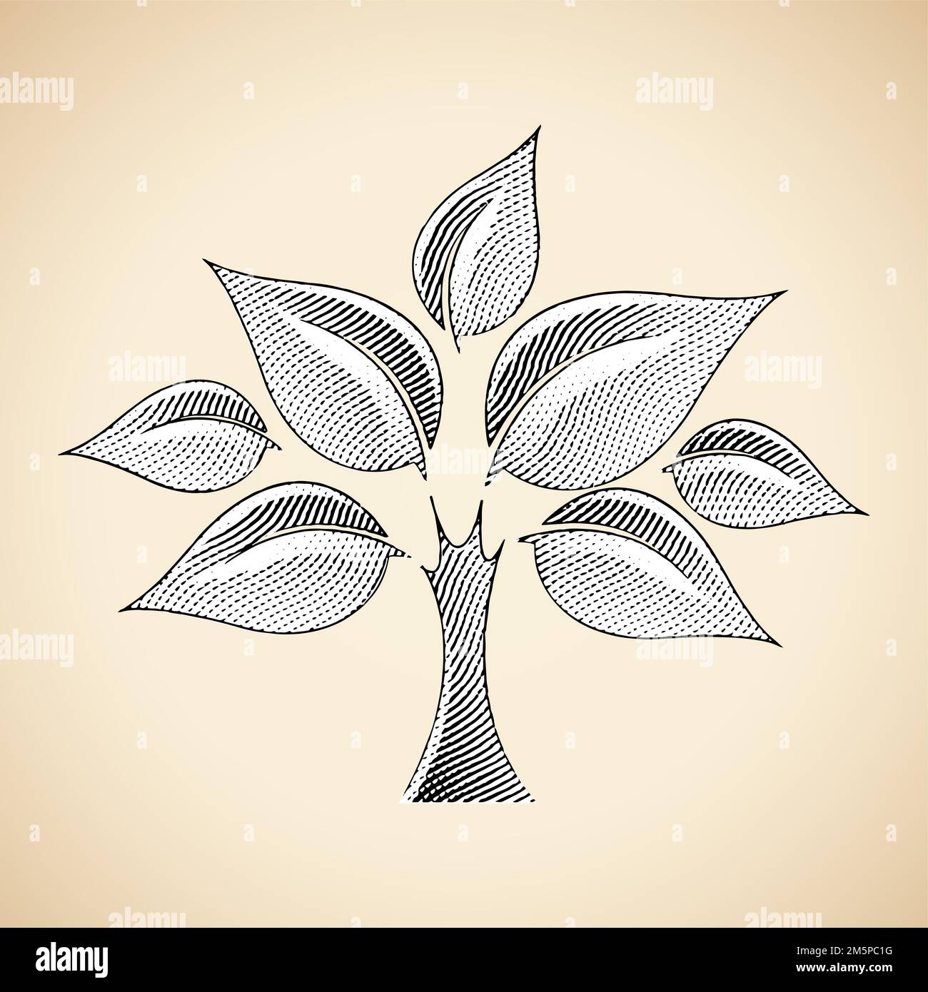 Illustration of Scratchboard Engraved Tree with White Fill isolated on ...