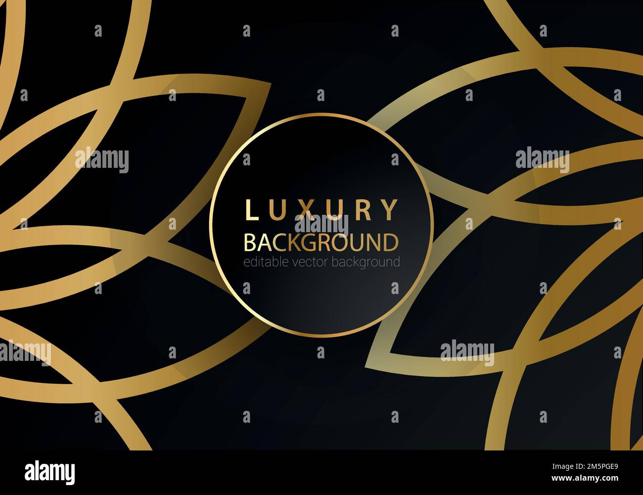 Abstract black and gold lines luxury background Stock Vector Image ...