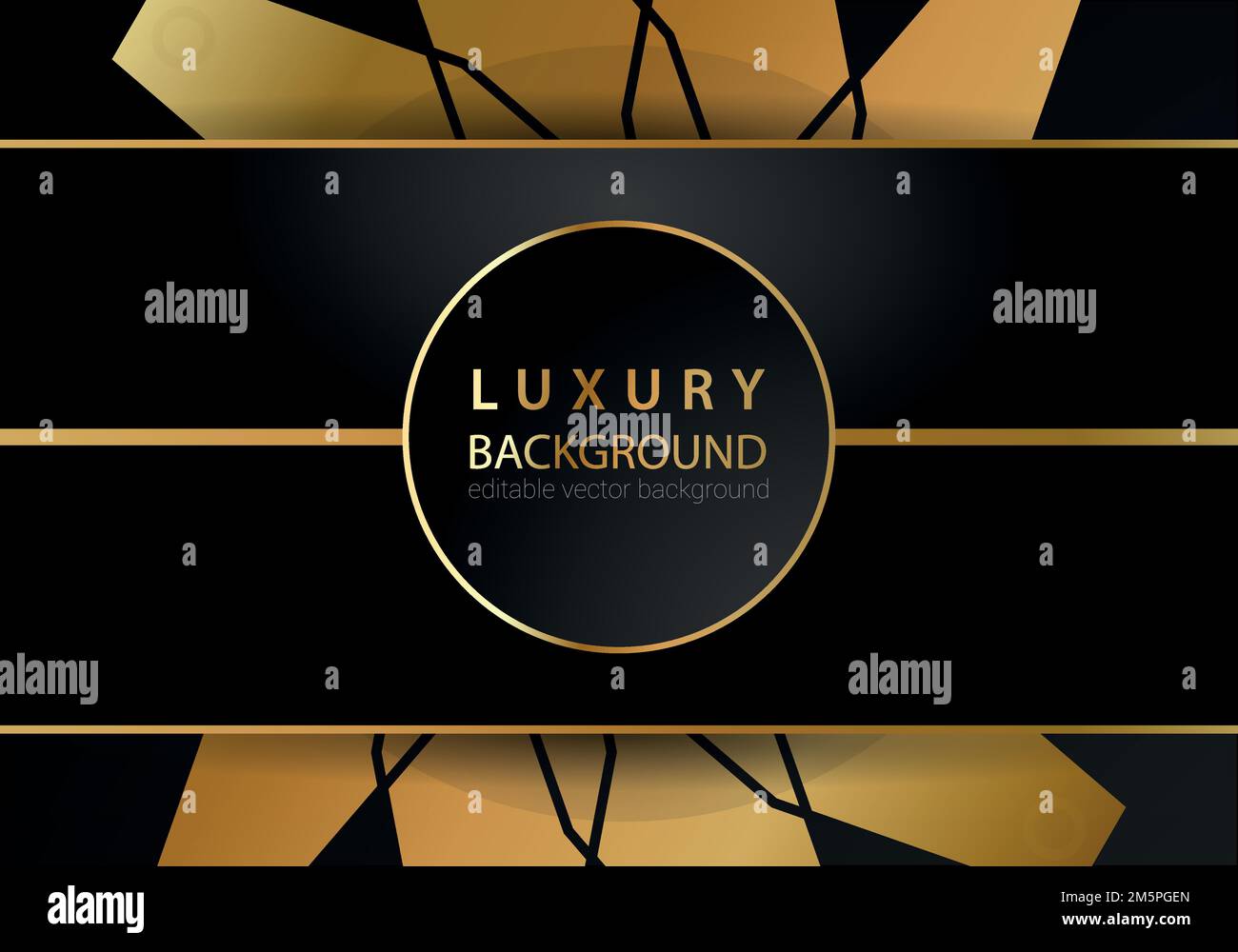 Abstract black and gold lines luxury background Stock Vector Image ...