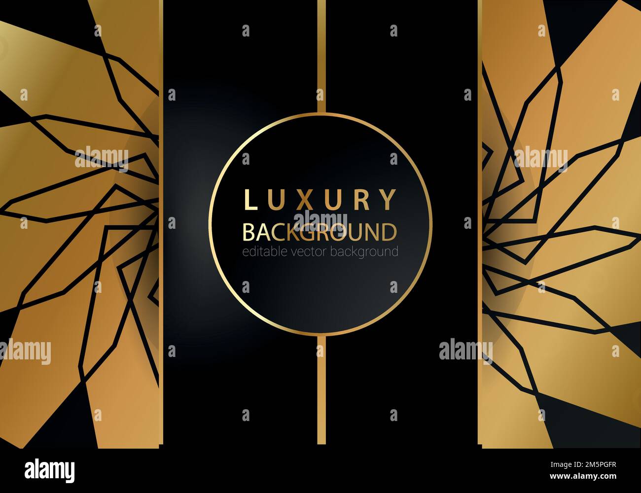 Abstract black and gold lines luxury background Stock Vector Image ...
