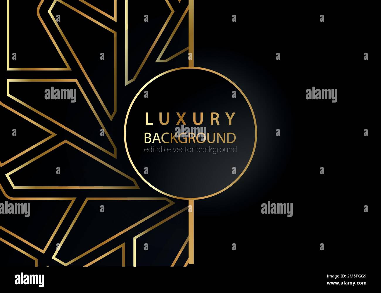 Abstract black and gold lines luxury background Stock Vector Image ...