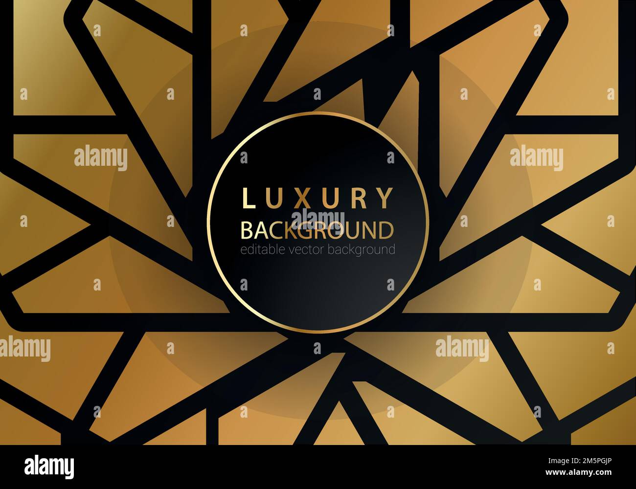 Abstract black and gold lines luxury background Stock Vector Image ...