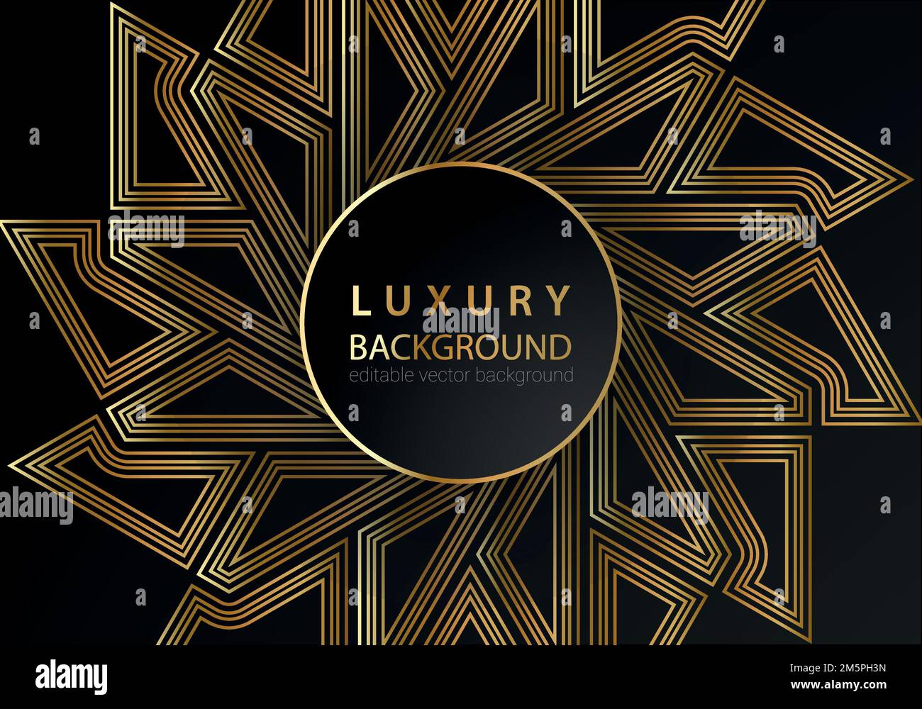 Abstract black and gold lines luxury background Stock Vector Image ...