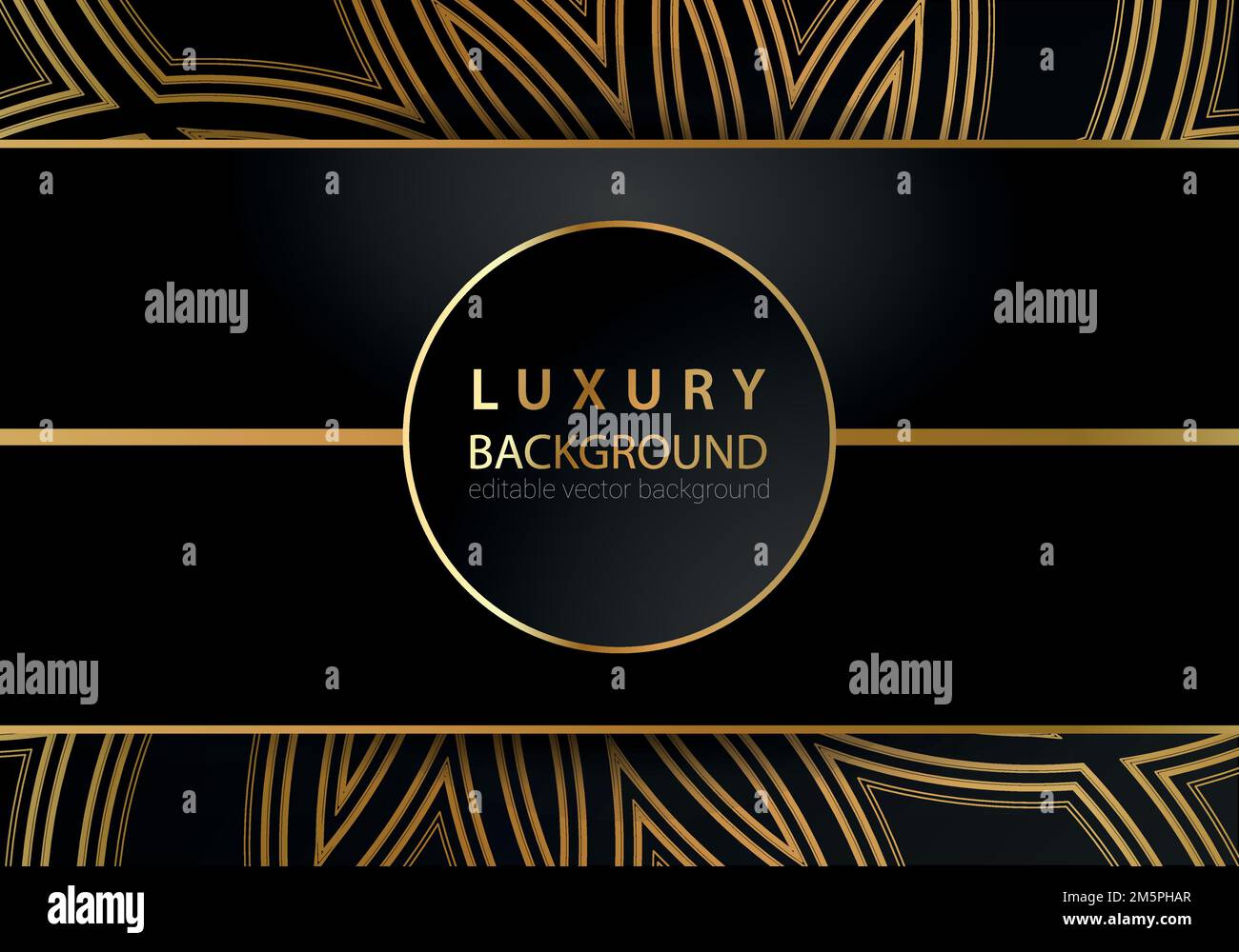 Abstract black and gold lines luxury background Stock Vector Image ...