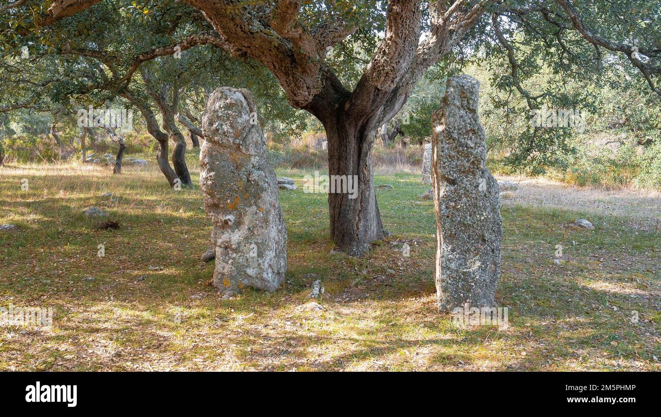 tomb of the giants and menhir the big megalith stone standing in field archeological monument