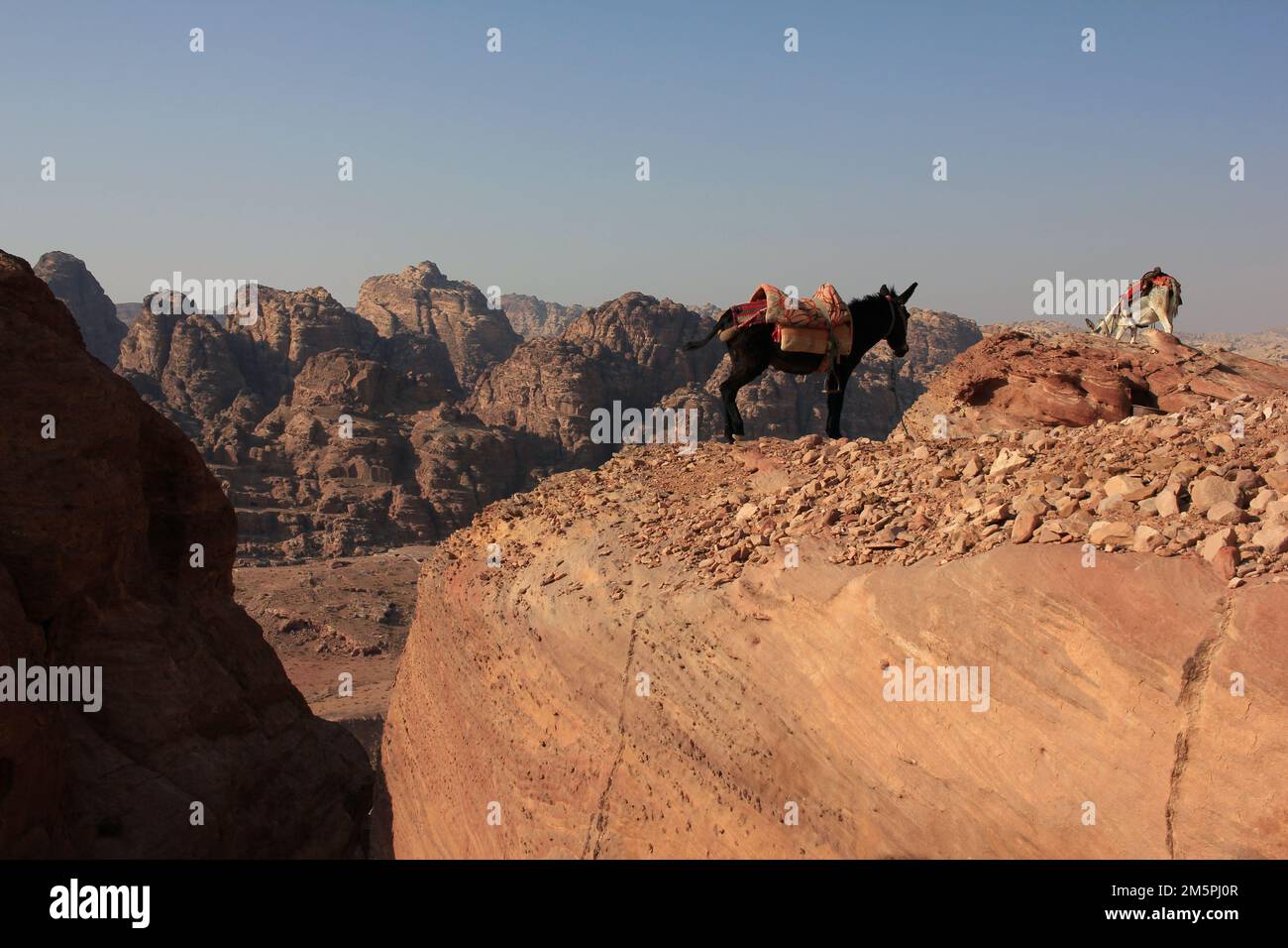 Typical mountain view on the trail with two donkey in the sight, in Petra, Jordan Stock Photo