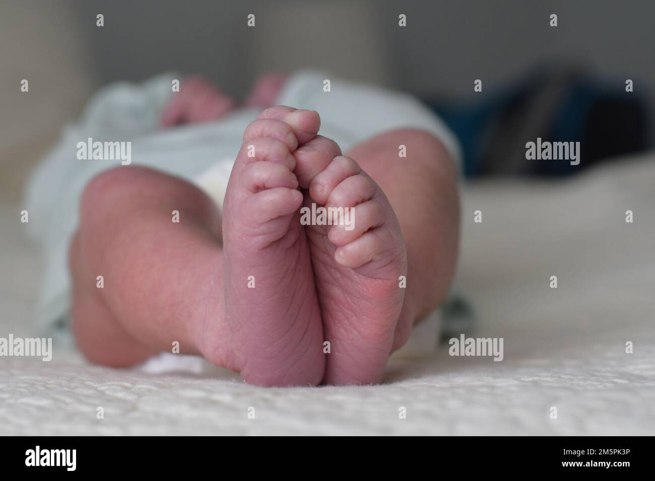 newborn baby feet Stock Photo Alamy