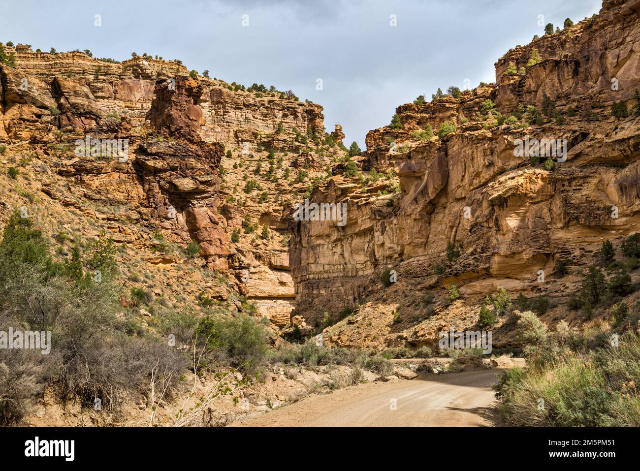Sandstone and shale rock formations, riparian corridor at Cottonwood Creek, Cottonwood Canyon, off Nine Mile Canyon, Utah, USA Stock Photo