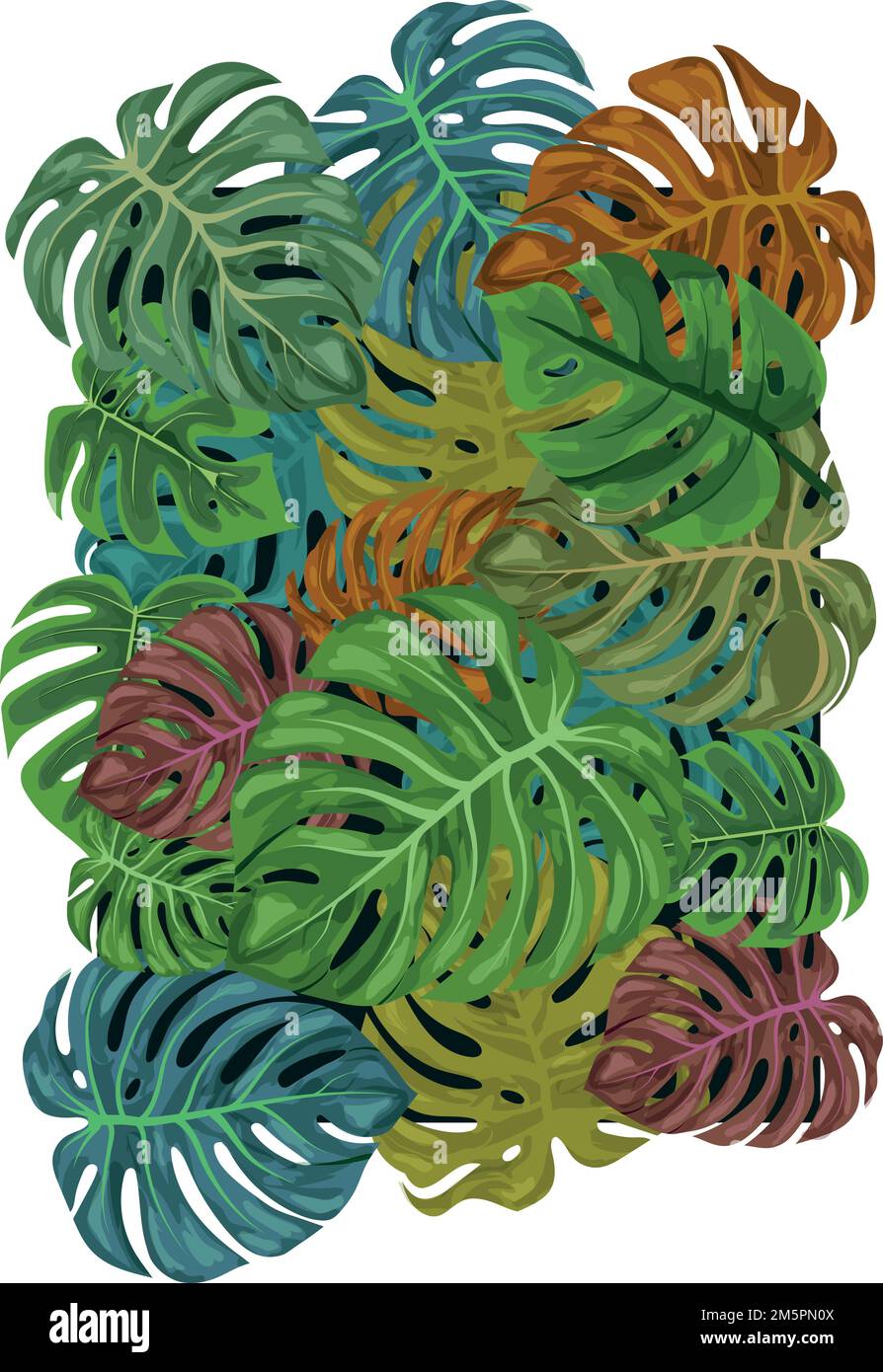 Monstera vector vectors hi-res stock photography and images - Alamy