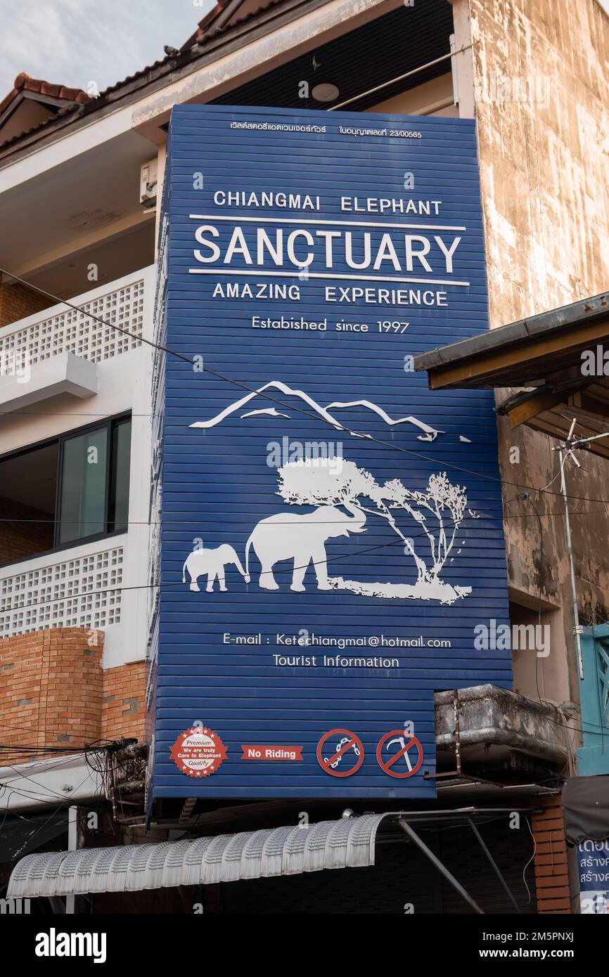 Chiang Mai, Thailand. November 18, 2022. Elephant sanctuary sign on the side of the building Stock Photo
