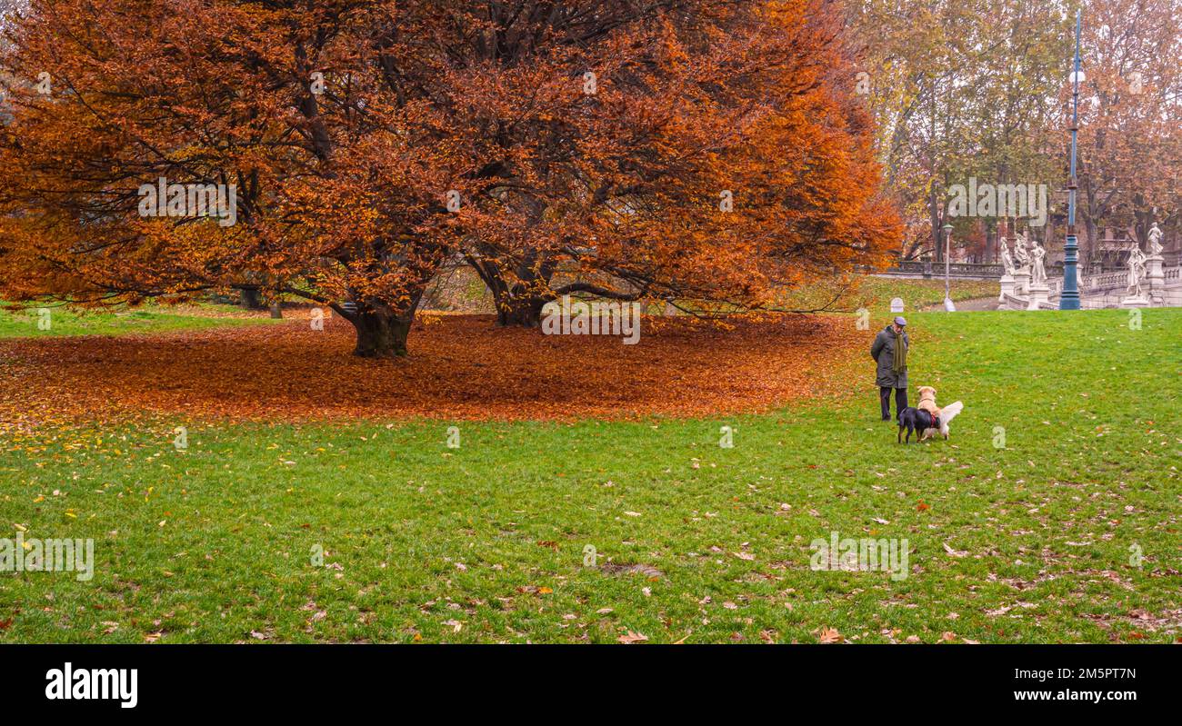 Parco del Valentino on the Banks of the Po River in the city of Turin, Piedmont, northern Italy - Europe - autumnal landscape Stock Photo