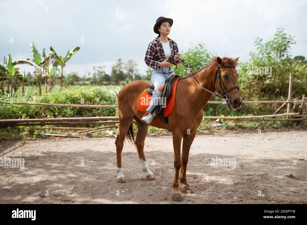 asian woman in cowboy hat holding reins while sitting on horse at ranch Stock Photo