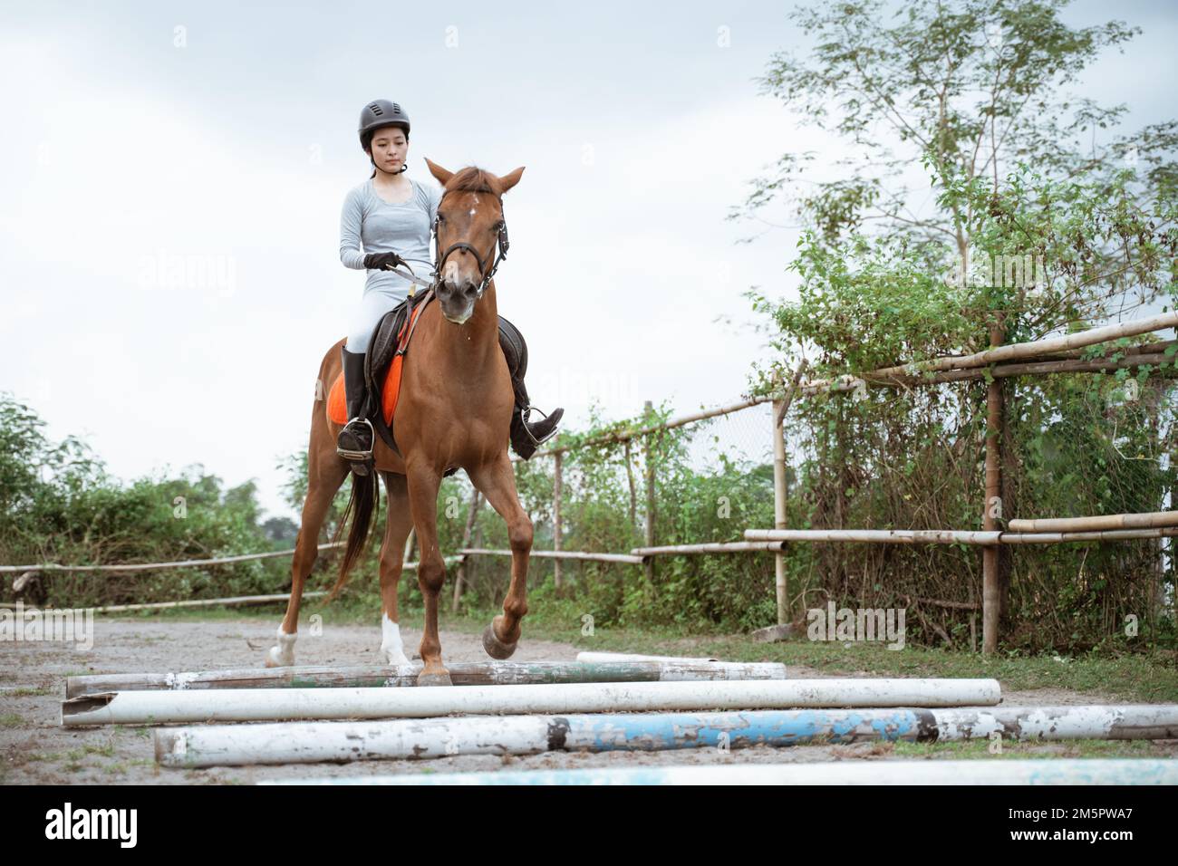Equestrian athletes control horses while crossing obstacles Stock Photo