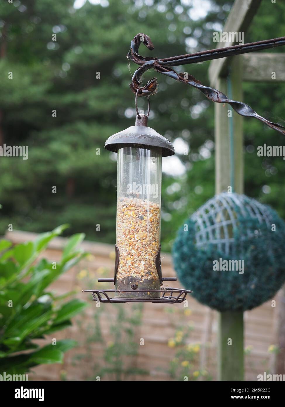 A plastic tube birdfeeder containing mixed seeds hanging from a bracket Stock Photo
