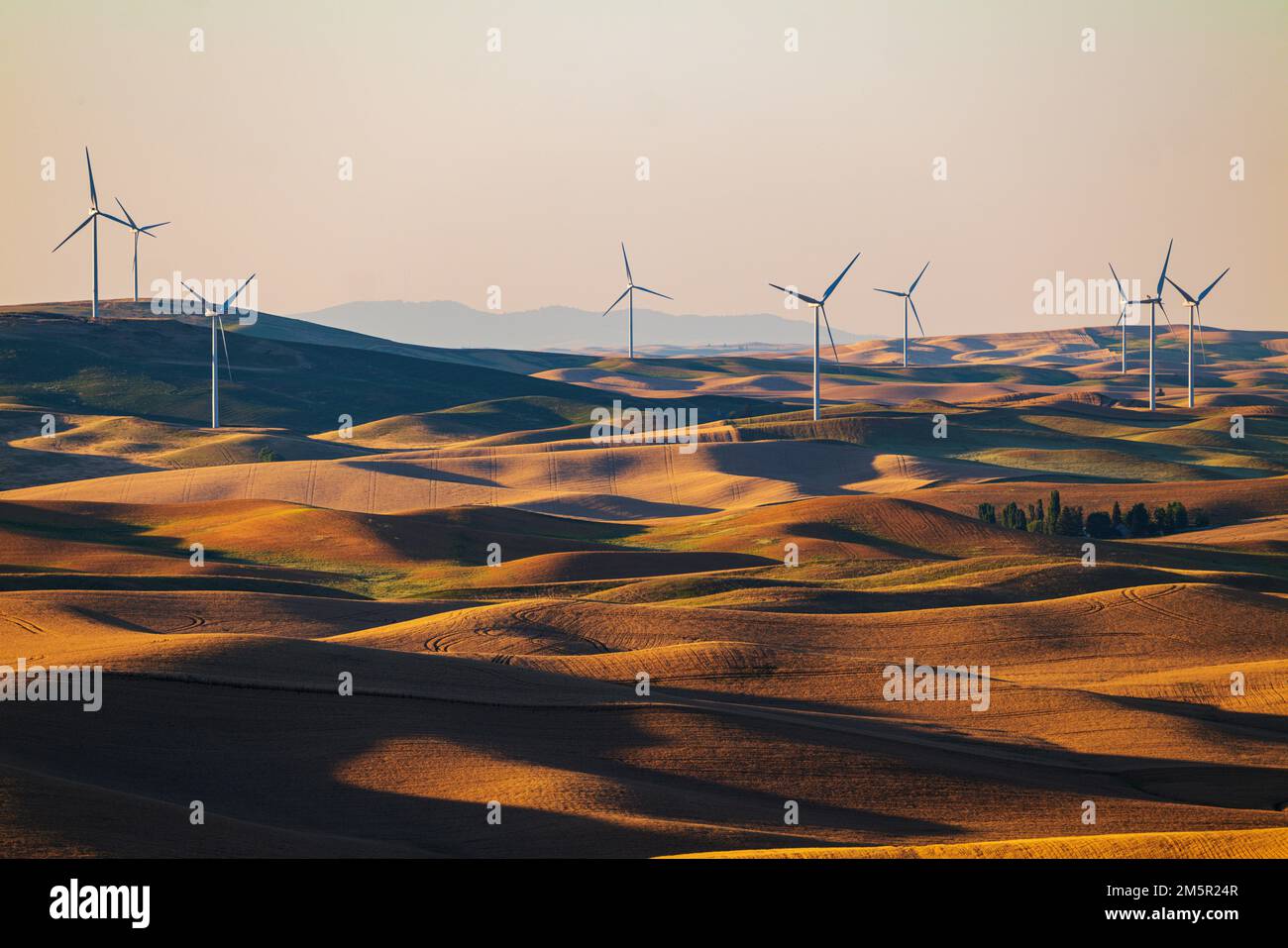 Windmills at sunset atop rolling farmland; Palouse region; Washington state; USA Stock Photo