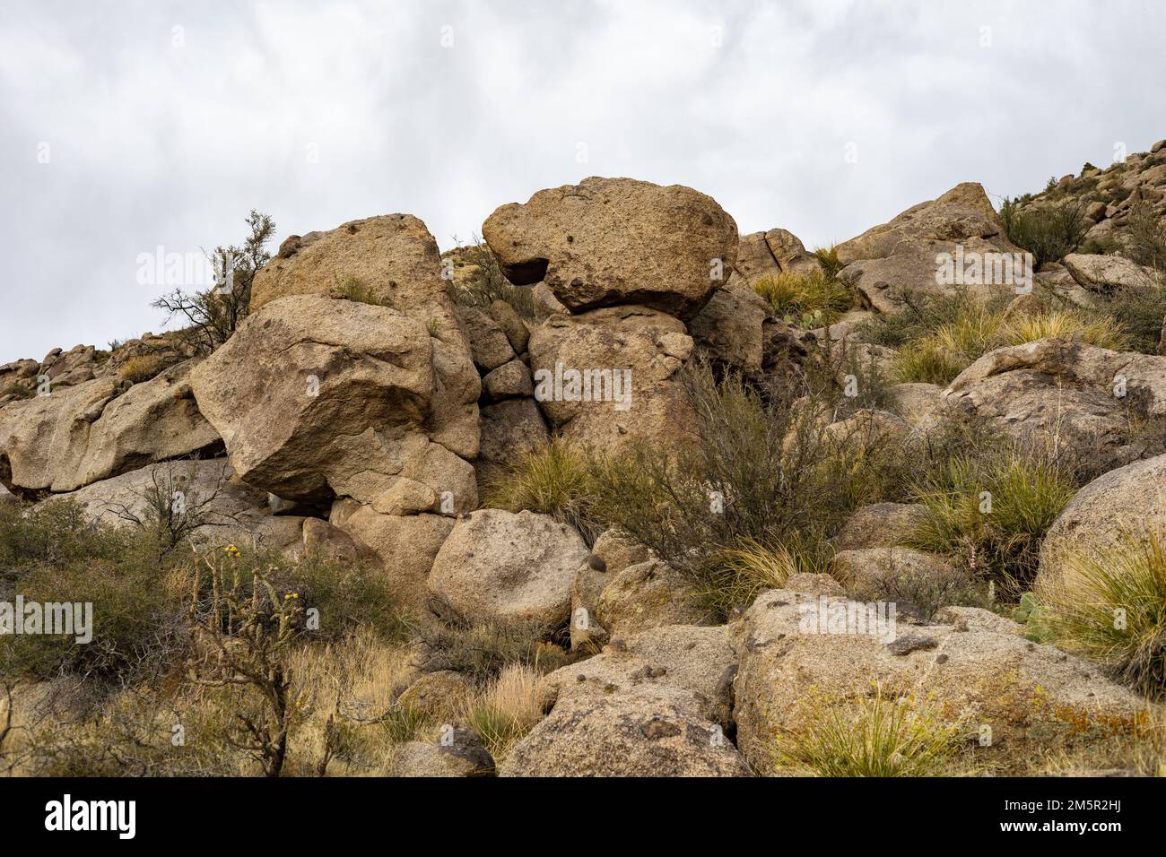 5 Wild Rocks The rocks and plants in wilderness Stock Photo - Alamy