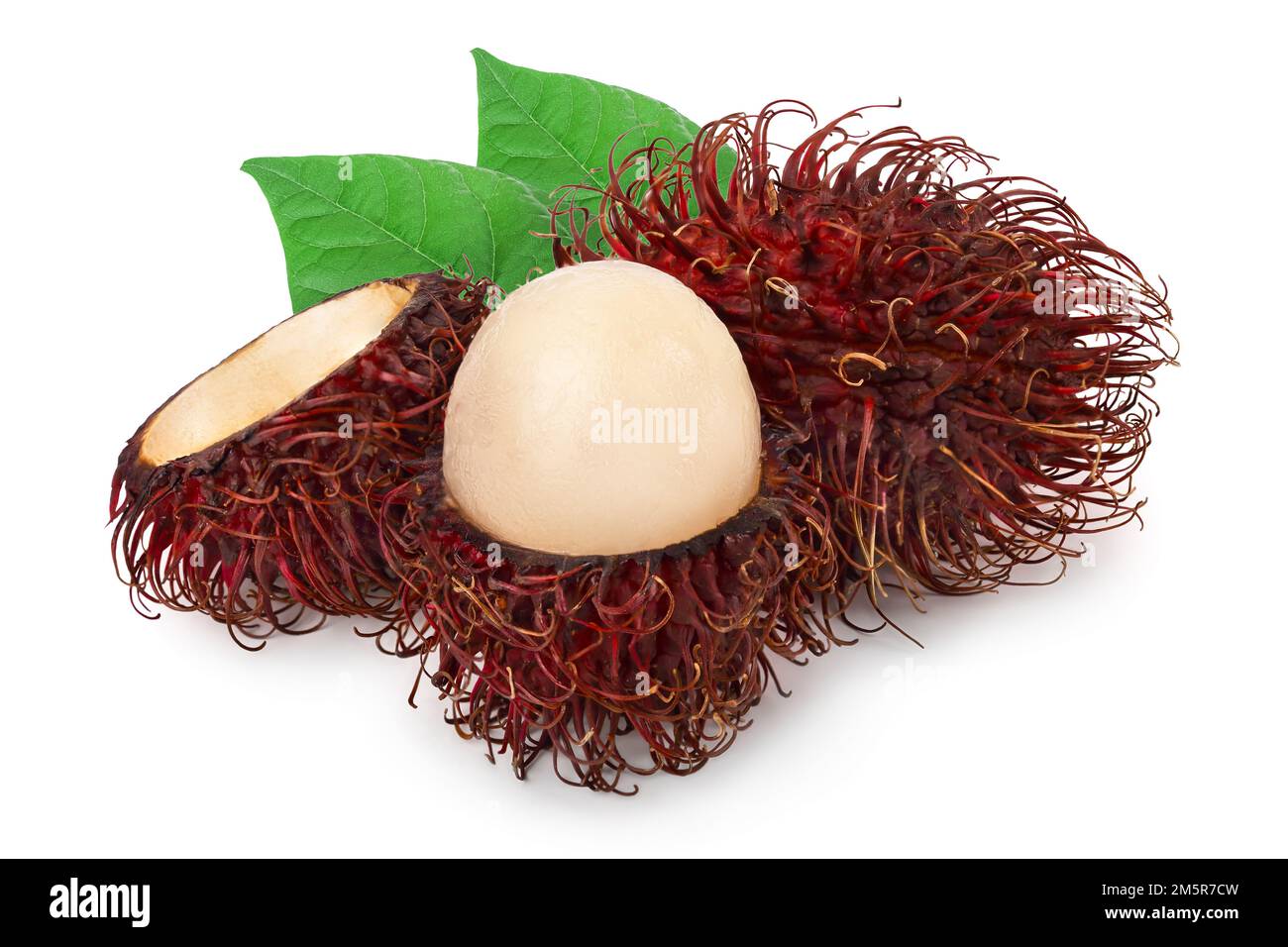 rambutan isolated on white background. Tropical fruit. Nephelium ...