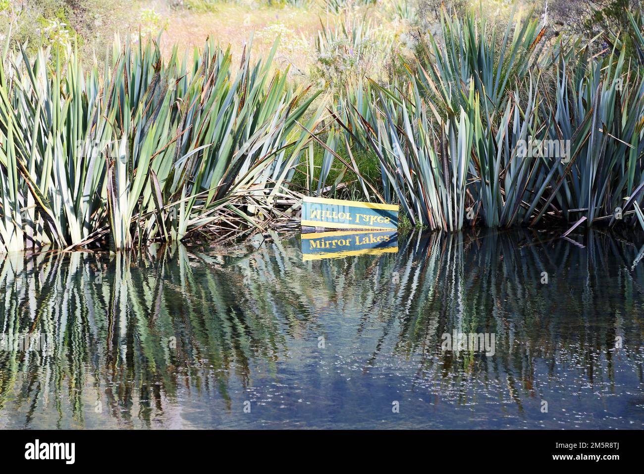 Reflection in Mirror Lake - Fiordland National Park, New Zealand Stock Photo