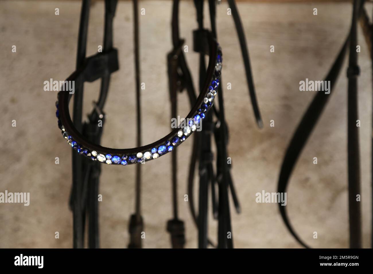colorful horse halters on a wall Stock Photo