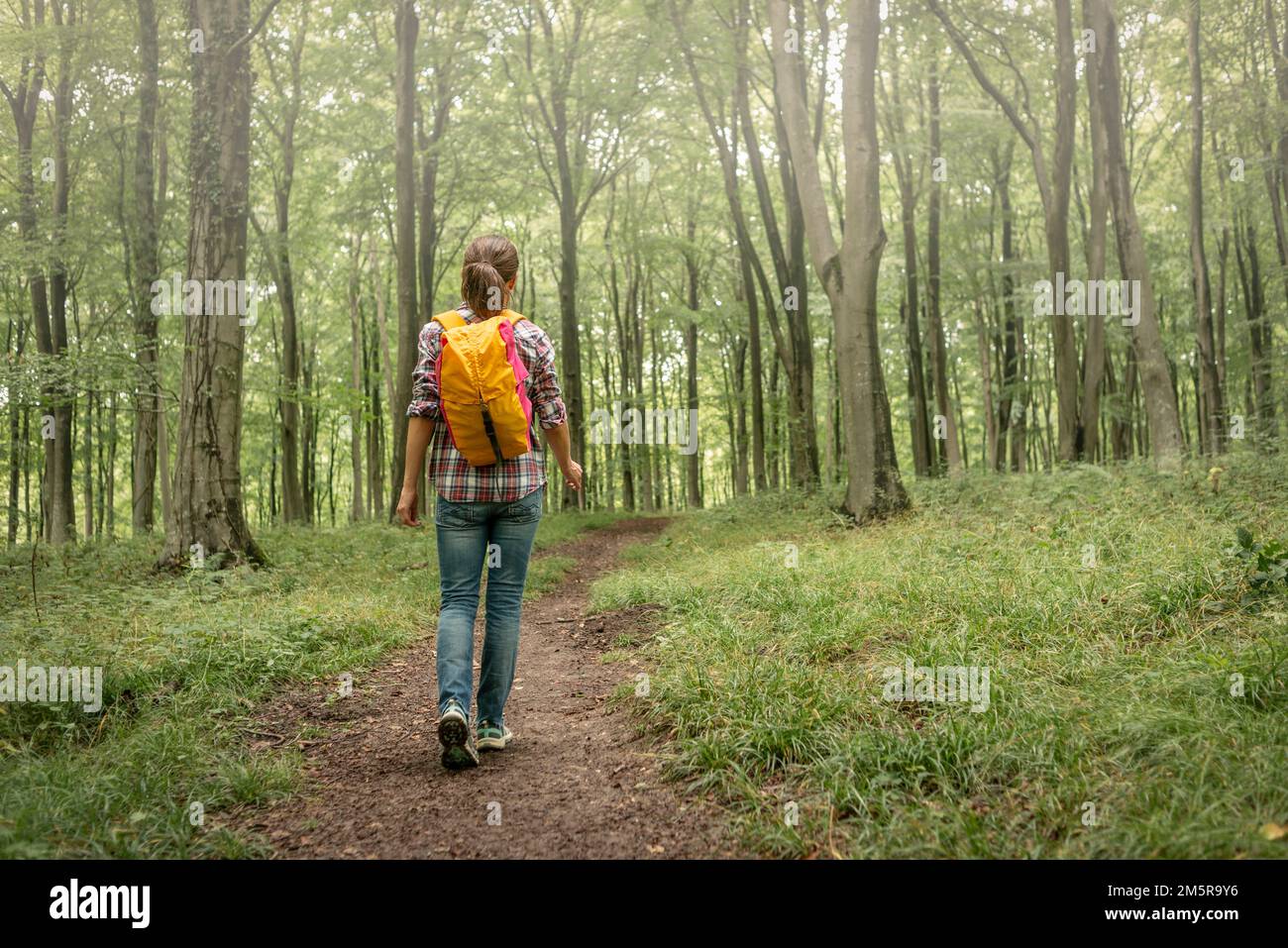 woman backpacker walking through the woods, rear view Stock Photo - Alamy