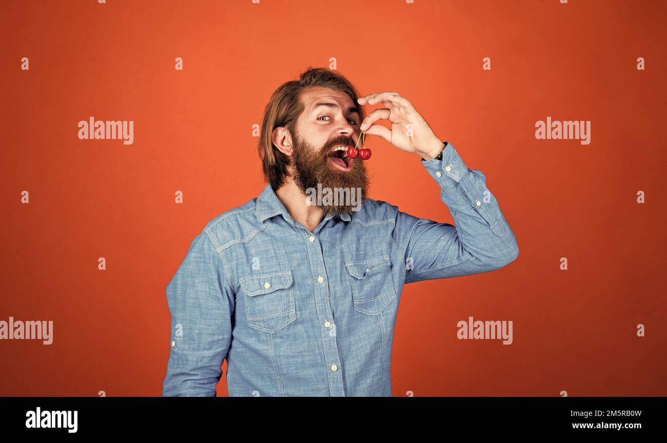 just one bite. confident farmer with fresh fruits. bearded man holding ripe cherries. Harvesting in summer. happy mature hipster with beard. brutal Stock Photo