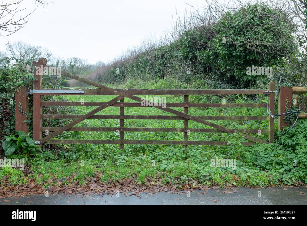 Wood, traditional, Farm Field Gate, Countryside, Jersey, Channel