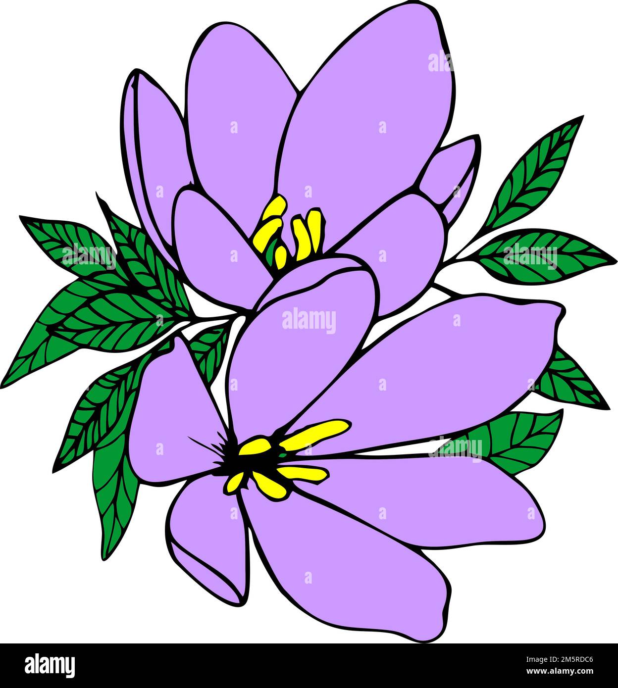 pansy flower design pansy flower tattoo designs pansy flower drawing  easy Flower bouquet line art abstract violet zen doodle coloring books  isolated on white background 22213159 Vector Art at Vecteezy