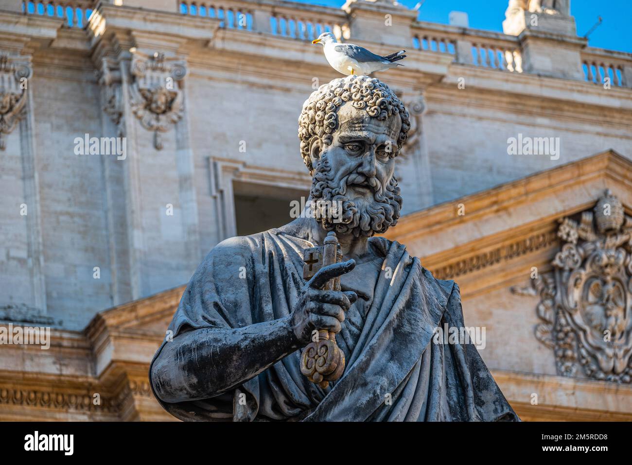 Seagull sitting on a head of a St Peter statue holding keys, a symbol of power, in front of the St. Peter's Basilica, centre of catholic religion. Stock Photo
