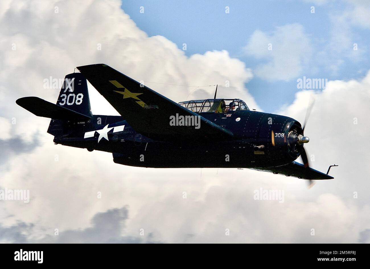 Grumman TBF, TBM Avenger Stock Photo