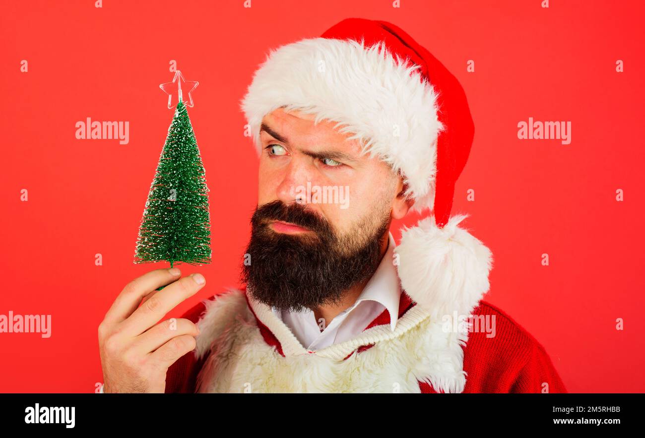 Bearded Santa Claus with small Christmas tree. Decoration element. New year holidays celebration. Stock Photo